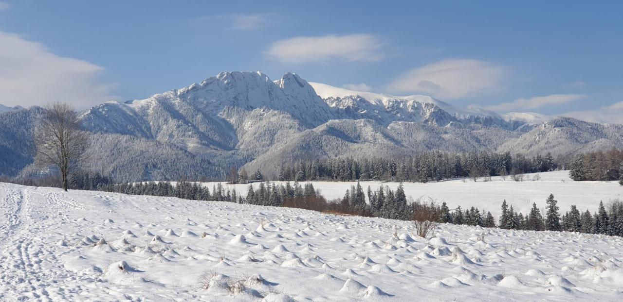 Apartament Na Brzyzku Zakopane Exterior photo